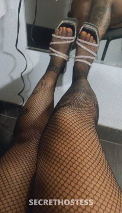 Chanel 24Yrs Old Escort 160CM Tall Tucson AZ Image - 1