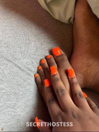 23 year old Escort in Charlotte NC Big booty judy bihhh with big soft titties to match ass so 