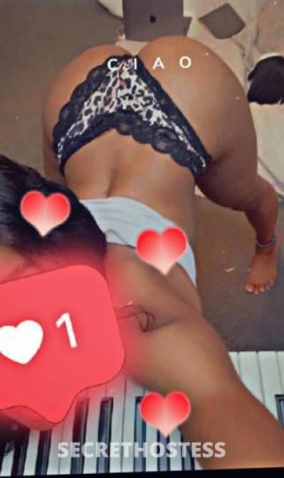 24Yrs Old Escort Bronx NY Image - 2