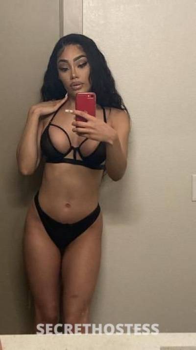 24Yrs Old Escort San Jose CA Image - 1