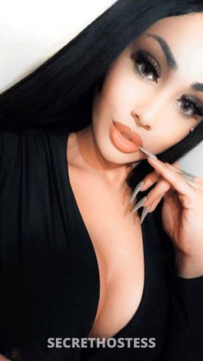 24 Year Old Hispanic Escort San Diego CA - Image 6