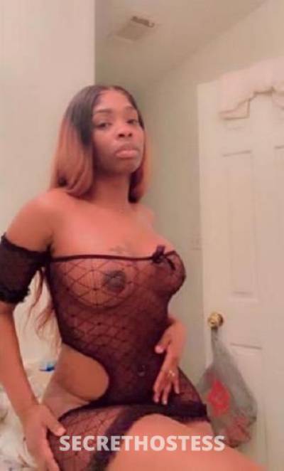 25Yrs Old Escort Tampa FL Image - 2