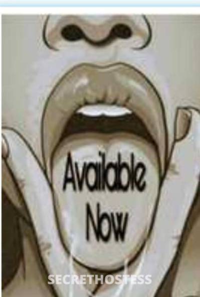 27 year old American Escort in Rochester NY New to the area and looking for a good time fuck me hard 