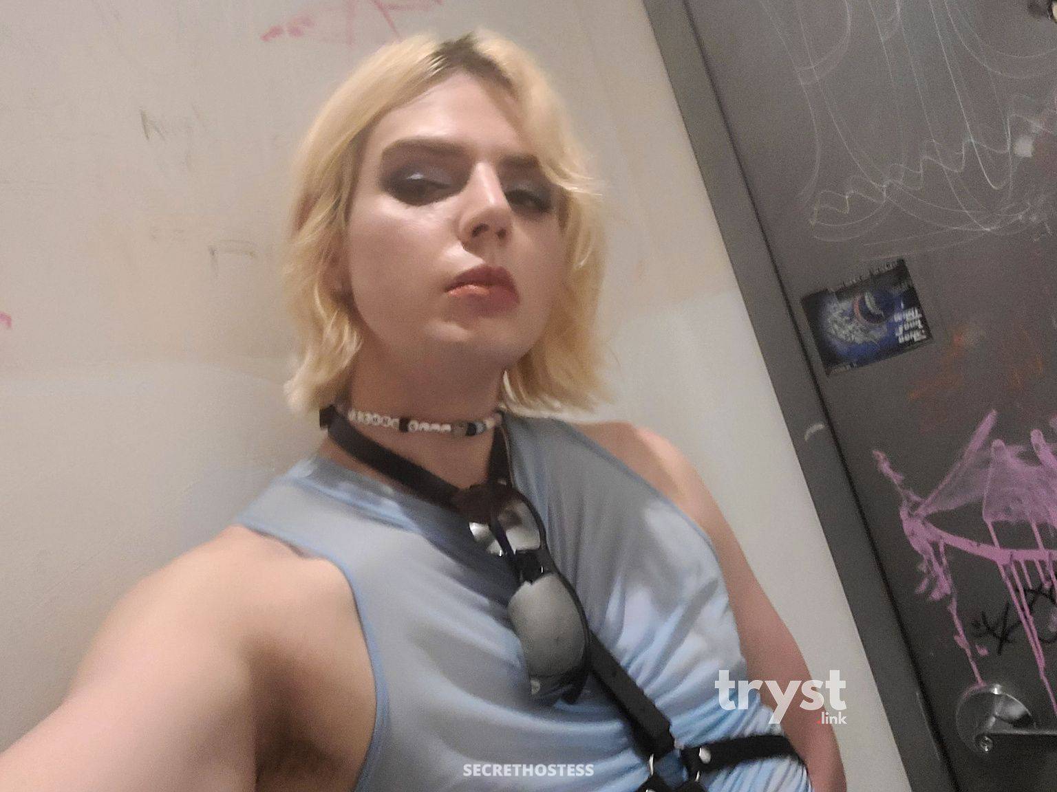 20Yrs Old Escort Size 10 173CM Tall Brooklyn NY Image - 12