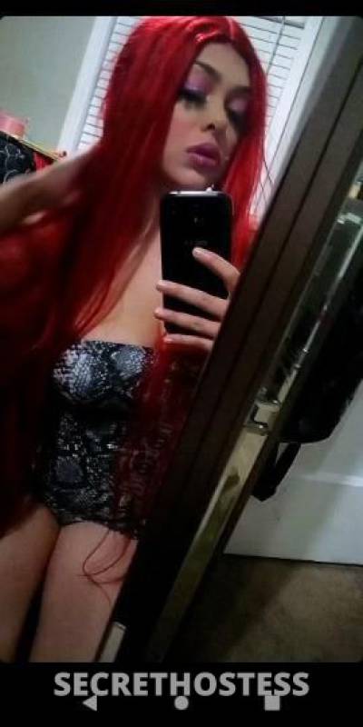 21Yrs Old Escort 165CM Tall Houston TX Image - 0