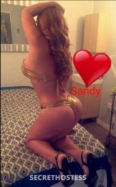 Sandy 30Yrs Old Escort Tampa FL Image - 2