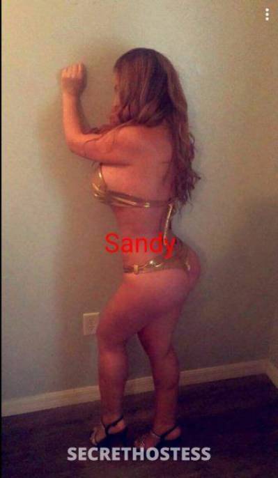 Sandy 30Yrs Old Escort Tampa FL Image - 3