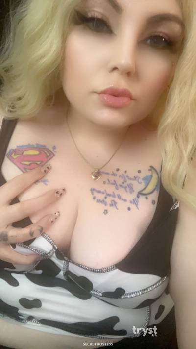 20 Year Old Caucasian Escort Austin TX Blonde - Image 6