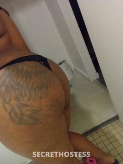 27Yrs Old Escort San Jose CA Image - 3