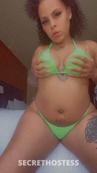 27 year old Italian Escort in Akron OH Italian Princess Come See Me