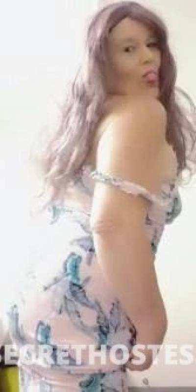 44Yrs Old Escort Size 12 Bundaberg Image - 3