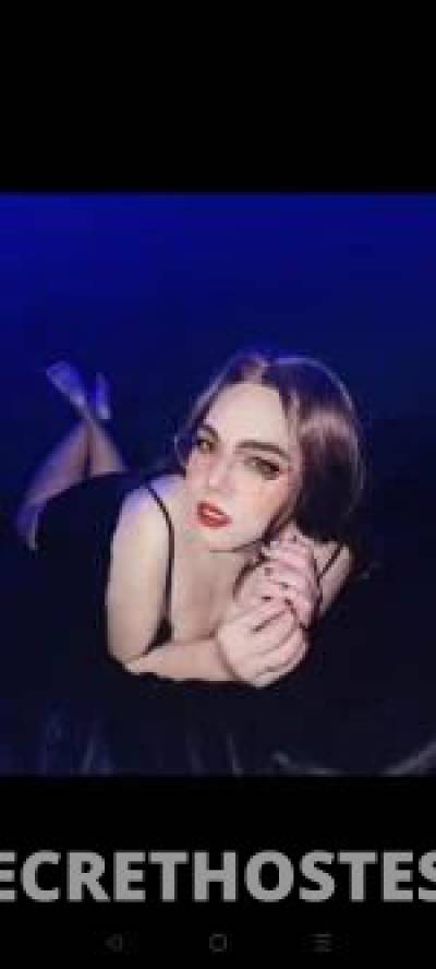 Alice 21Yrs Old Escort 176CM Tall Canberra Image - 8