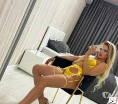 Amalia 23Yrs Old Escort Dorset Image - 0