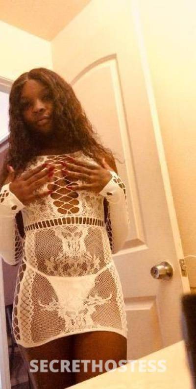 Ashli 23Yrs Old Escort Phoenix AZ Image - 0