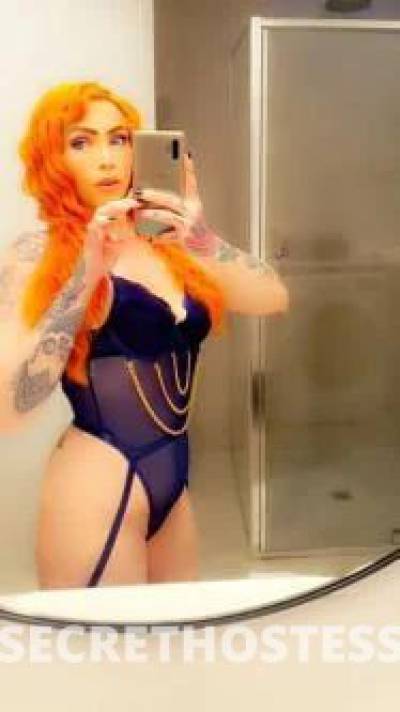 Bellatrix 27Yrs Old Escort Ballarat Image - 5