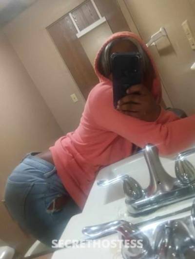 Noel 23Yrs Old Escort Rochester NY Image - 0