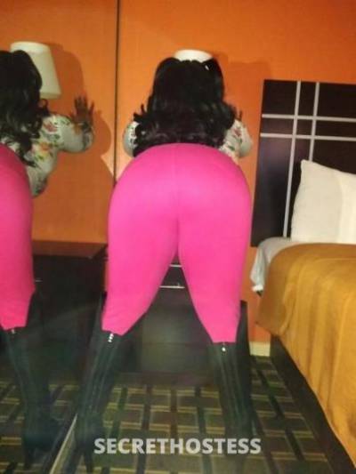 27 Year Old Dominican Escort Houston TX - Image 4