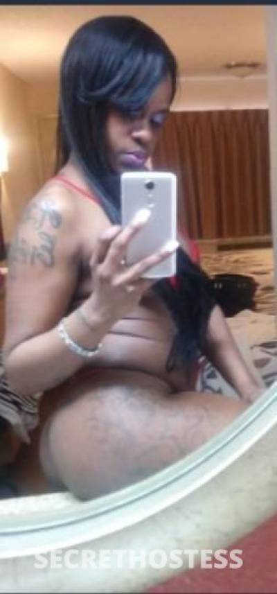 31Yrs Old Escort Houston TX Image - 2