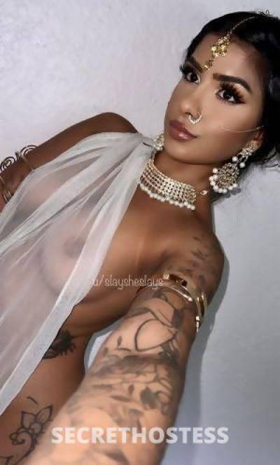 25 year old Escort in Rochester NY You ll never forget Come take a ride INCALL OUTCALL Video 