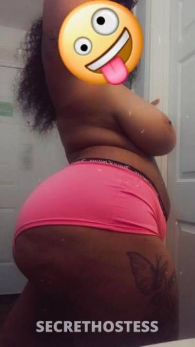 25Yrs Old Escort Tampa FL Image - 2