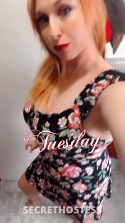 27Yrs Old Escort 170CM Tall Iowa City IA Image - 0