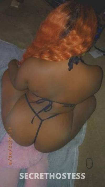 27Yrs Old Escort Orlando FL Image - 2