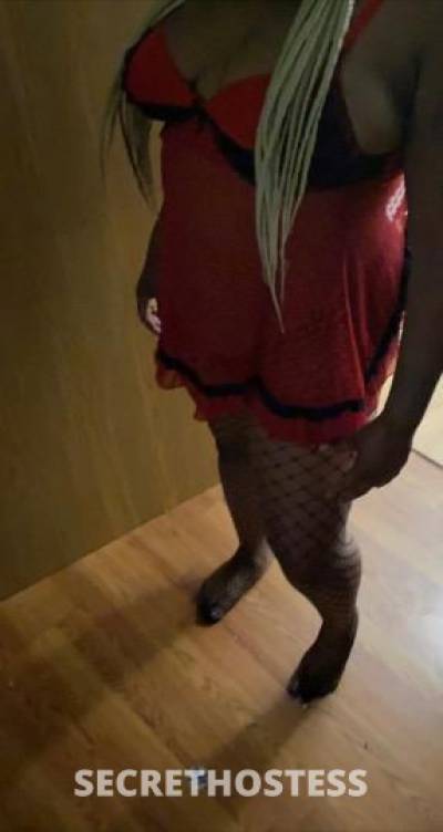 27Yrs Old Escort Saginaw MI Image - 0