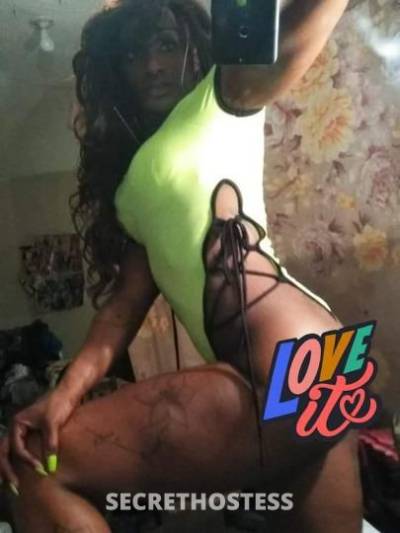 28Yrs Old Escort 170CM Tall Los Angeles CA Image - 2