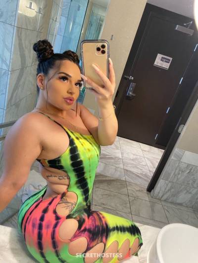 25 year old Escort in Charlotte NC Here to have fun and meet up