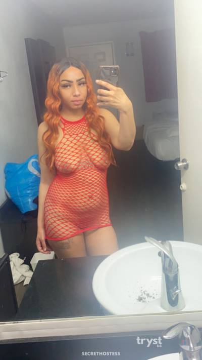 20Yrs Old Escort Size 6 159CM Tall Sacramento CA Image - 0