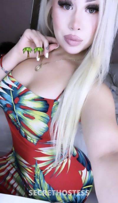 22 Year Old Hispanic Escort Phoenix AZ Blonde - Image 3