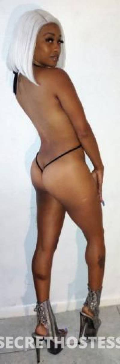 30Yrs Old Escort Houston TX Image - 4