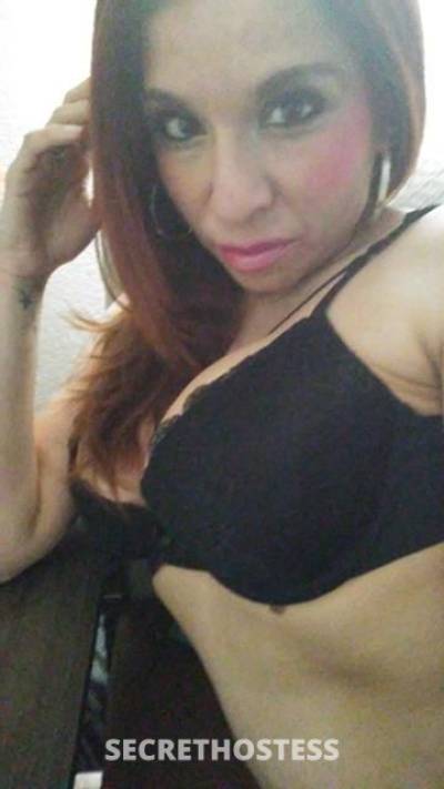 37Yrs Old Escort San Antonio TX Image - 0