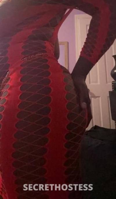 25Yrs Old Escort Bronx NY Image - 1