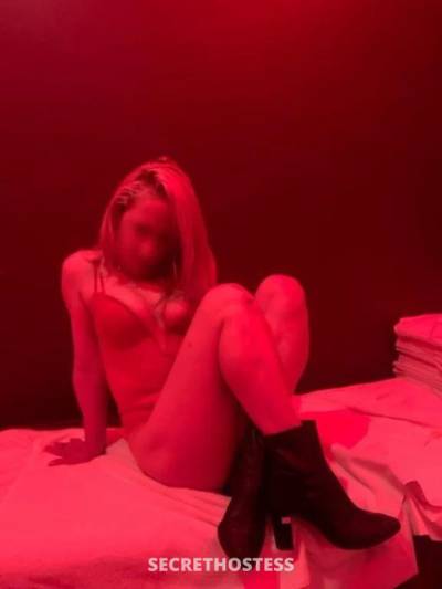 26 year old Escort in Perth Nordic beauty - 26 - pornstar experience