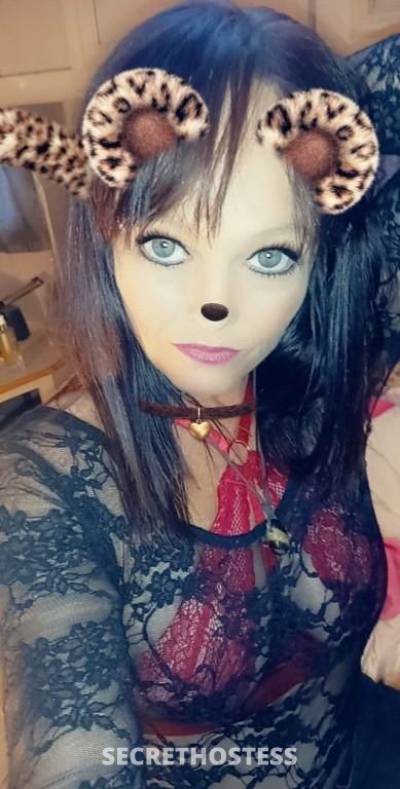 42 year old Escort in Townsville 350 for a daddy to come and spank me hard