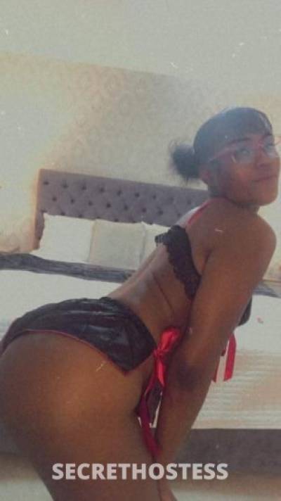 23Yrs Old Escort Miami FL Image - 0