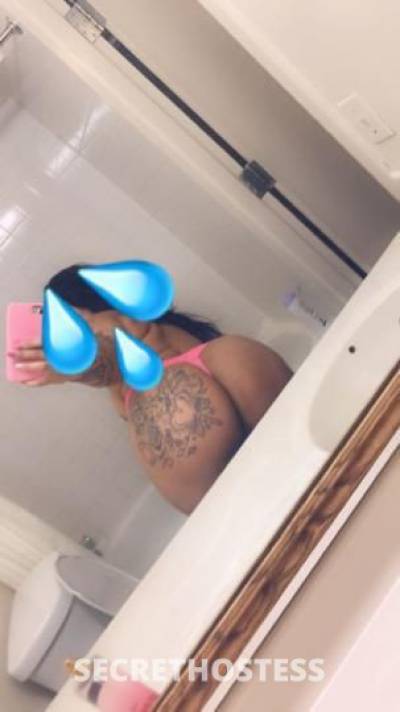 24Yrs Old Escort Pensacola FL Image - 0