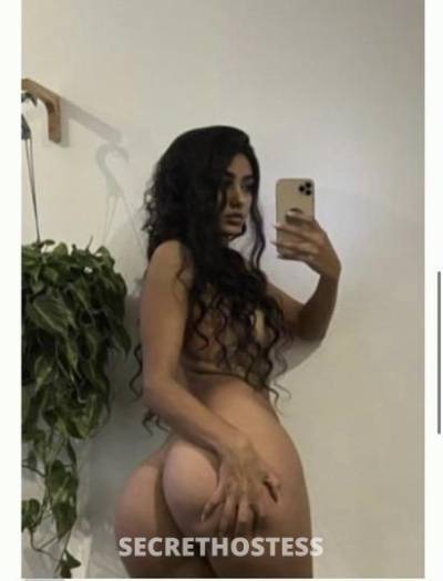 24Yrs Old Escort San Jose CA Image - 0