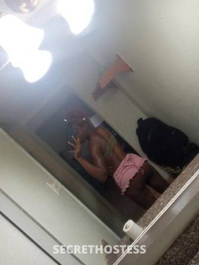 26Yrs Old Escort Tampa FL Image - 2