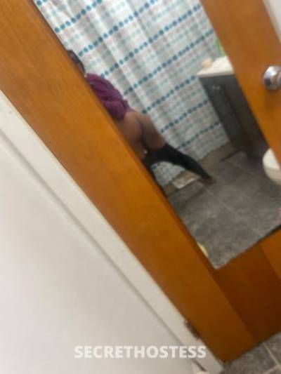 27Yrs Old Escort Chicago IL Image - 2