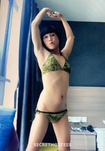 Clara 30Yrs Old Escort Singapore Image - 1