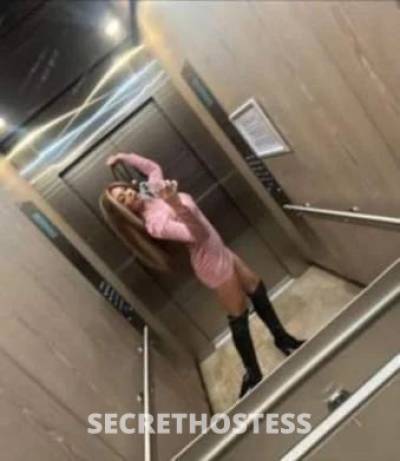 24Yrs Old Escort Size 8 165CM Tall Mandurah Image - 0