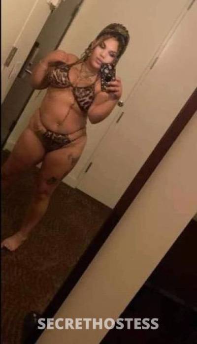 26Yrs Old Escort San Antonio TX Image - 0