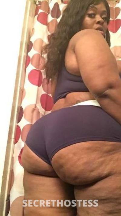 27Yrs Old Escort Miami FL Image - 2