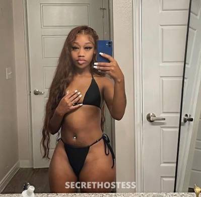 28Yrs Old Escort Sarasota FL Image - 3