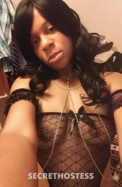 29Yrs Old Escort Columbia SC Image - 0