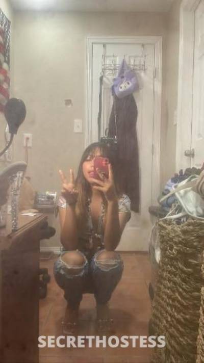 Kitty 21Yrs Old Escort McAllen TX Image - 2