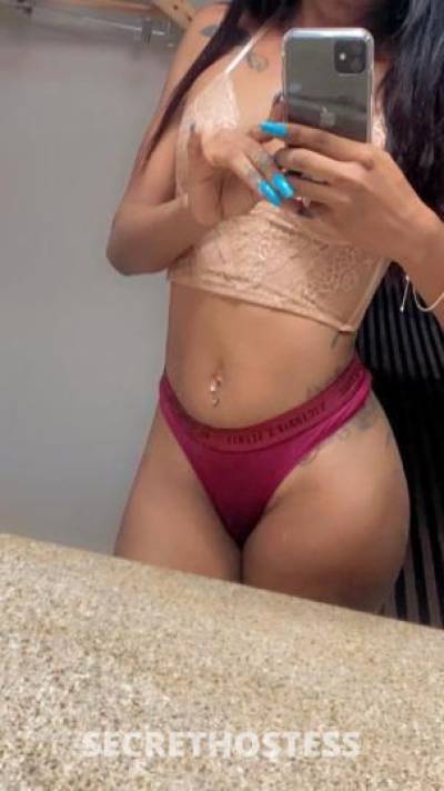 25Yrs Old Escort Houston TX Image - 1