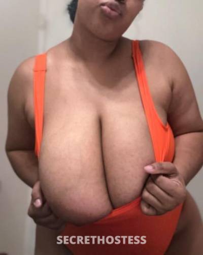 27Yrs Old Escort Little Rock AR Image - 0